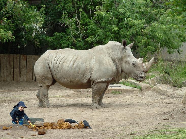 2004_0627ZOO0129_1