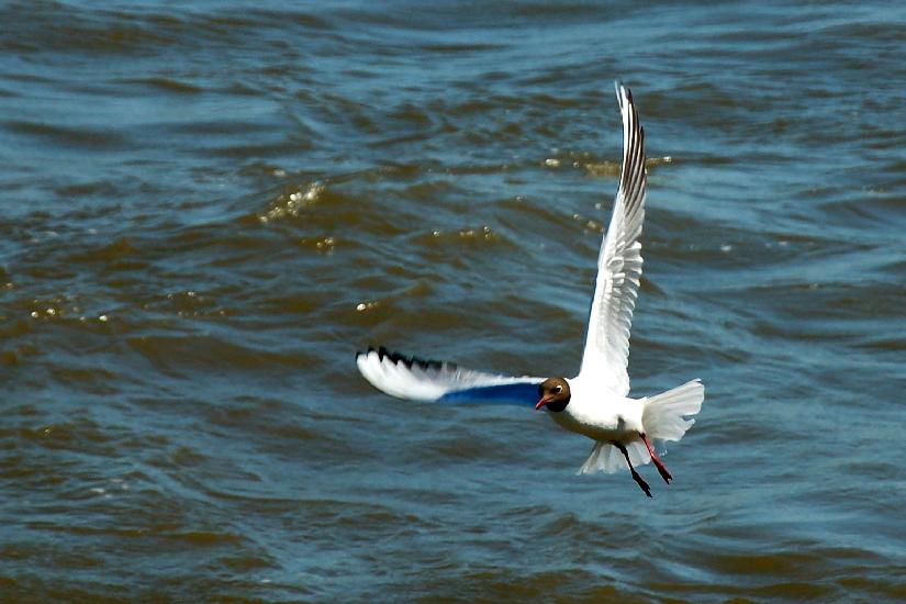 2006_05_18_148_Cuxhaven