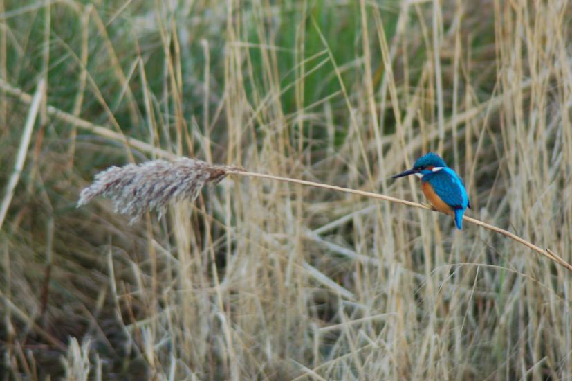 2007_12_15_193_Rieselfelder200-400