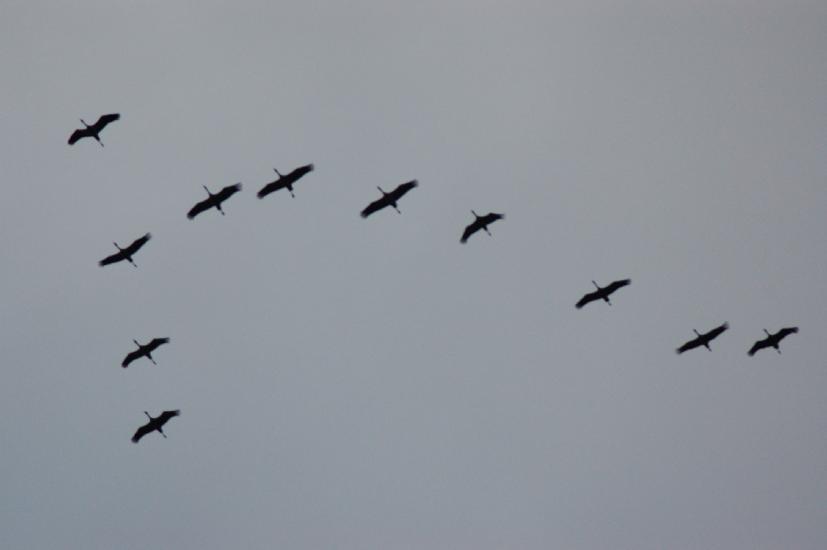 2007_12_15_211_Rieselfelder200-400