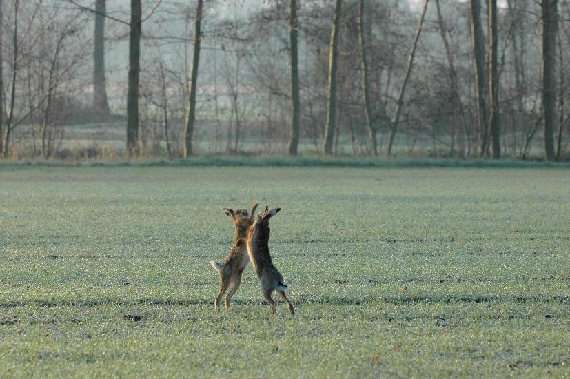 2008_03_27_34Osterwoche180