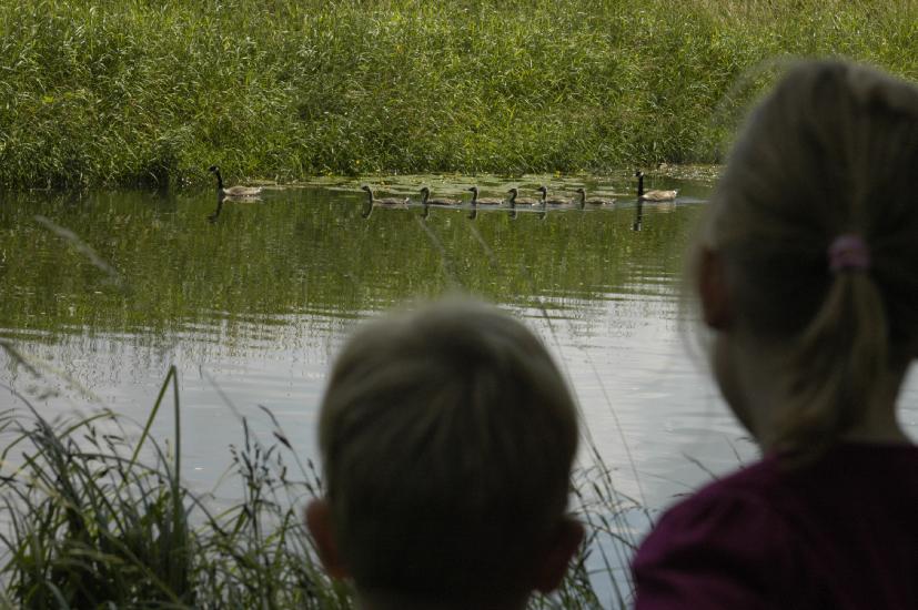 2008_06_21_156DiverseObjektive