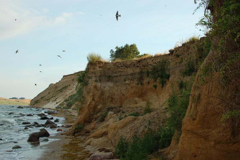 2008_07_06_87_RuegenD50