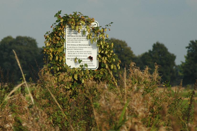 2008_09_24_2_VielLichtTest