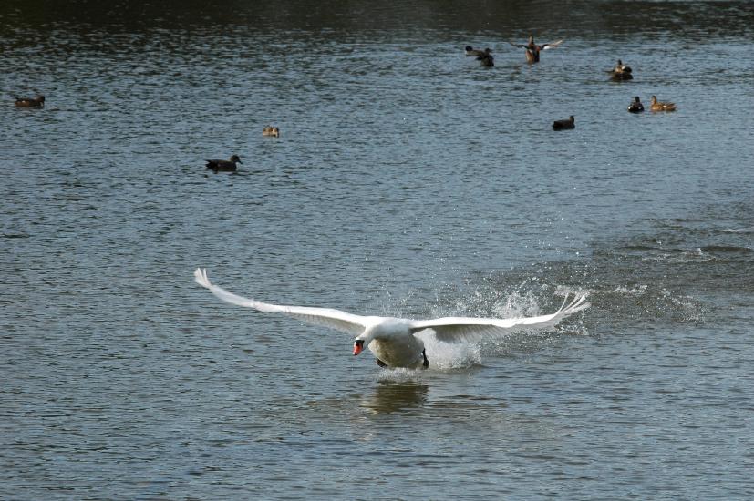 2008_10_04_122_Rieselfelder