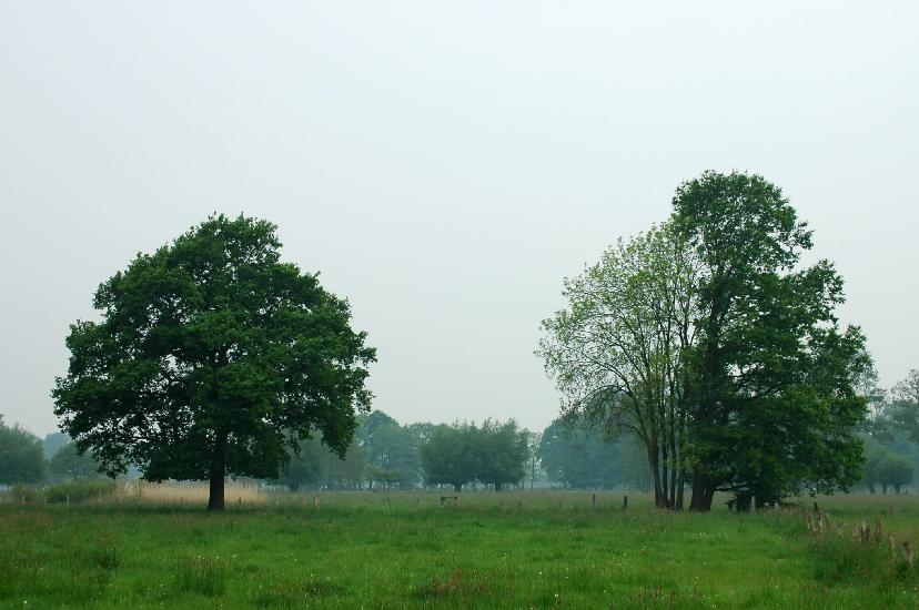 2009_05_03_24_Bruch