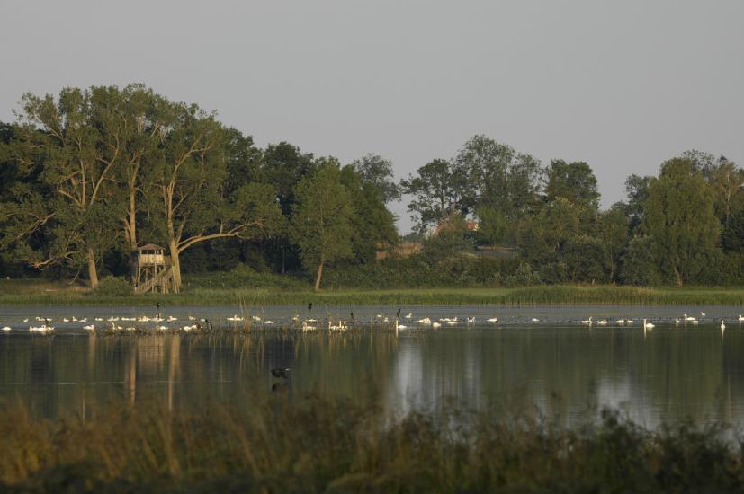 2009_07_14_34_RuegenTele