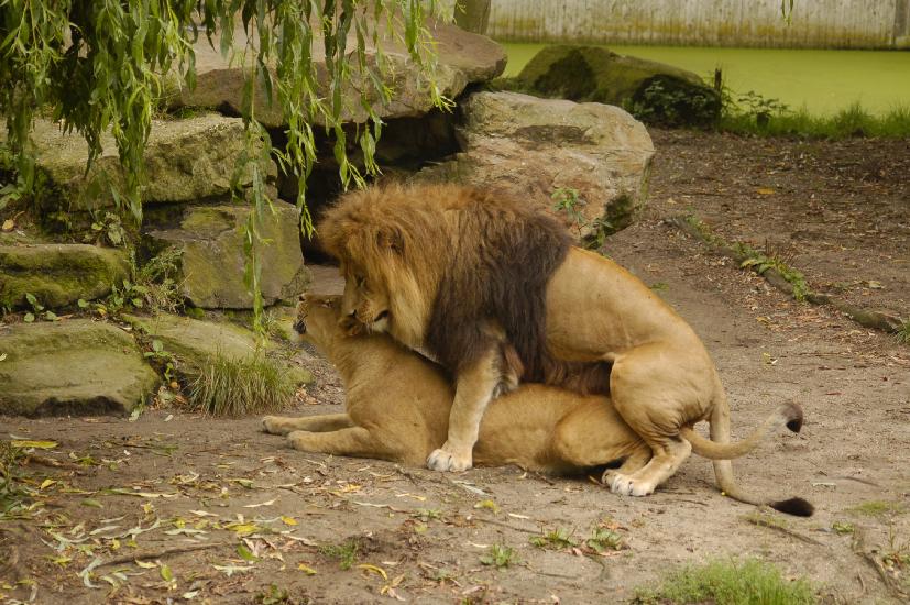 2009_08_09_119_Zoo