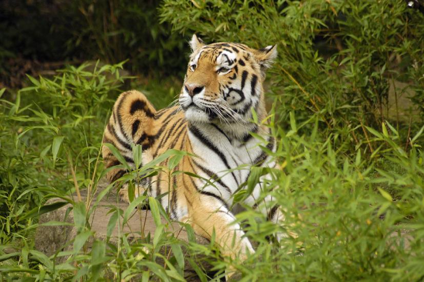 2009_08_09_442_Zoo