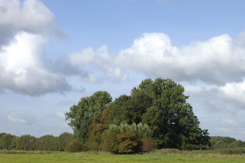 2009_09_11_18_Bruch