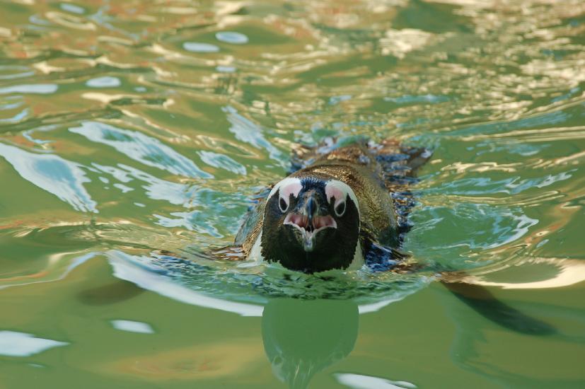 2009_09_26_314_Zoo