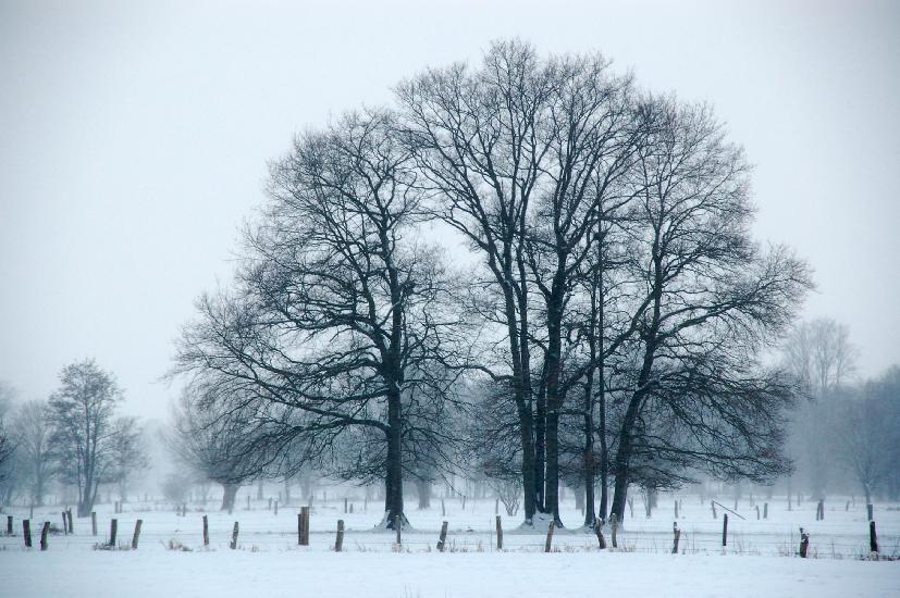 2010_01_09_2_Winter