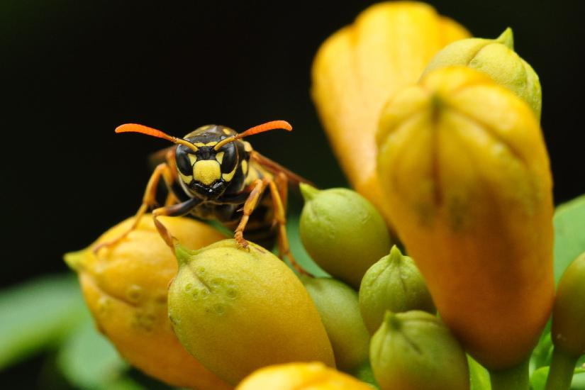 2010_07_23_74_BruchMakro