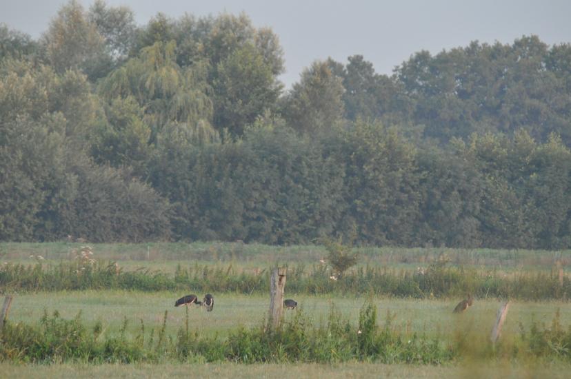 2010_07_31_123_Urlaub