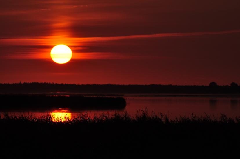 2010_08_15_Zingst (1094)