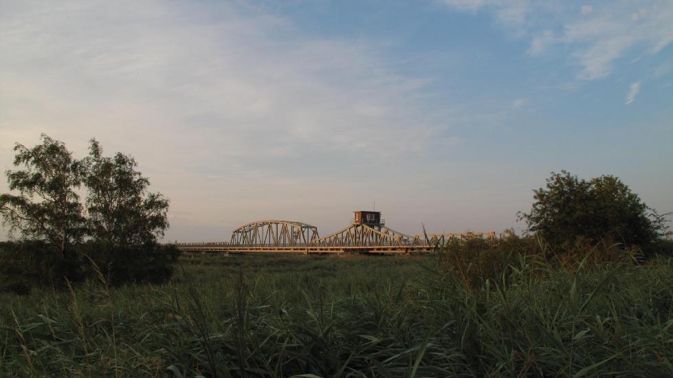 2010_08_15_Zingst (1137)