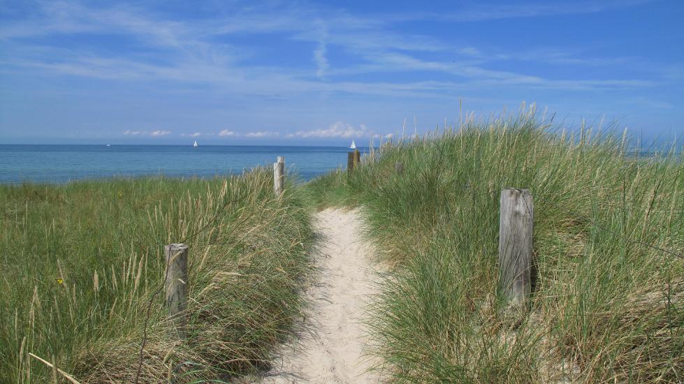 2010_08_15_Zingst (808)