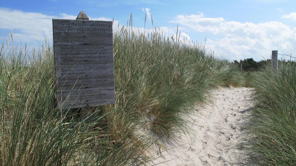 2010_08_15_Zingst (814)