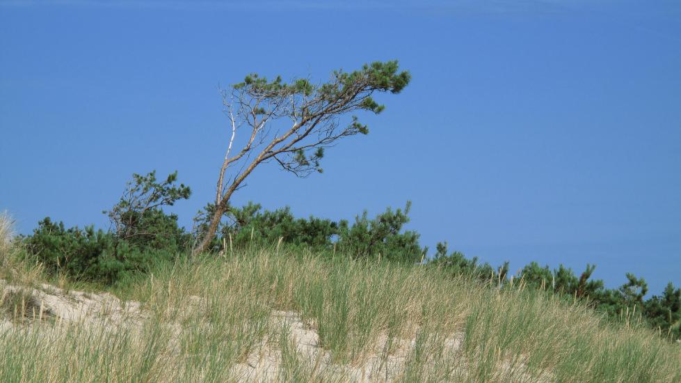 2010_08_15_Zingst (822)