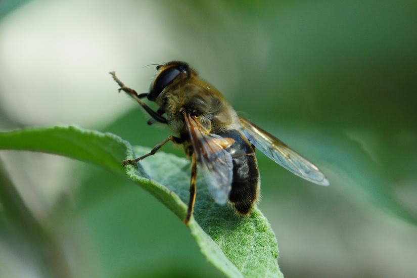 2010_09_05_98_Macro