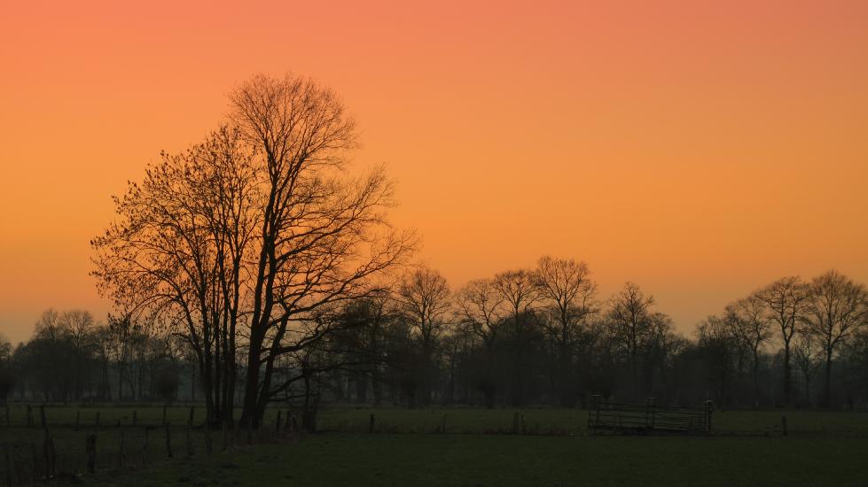 2011_01_28_48_swTestG10_bearbeitet-1