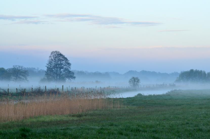 2012_04_30_0640_Telefoto