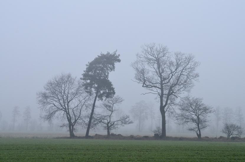 2013_02_16_0221_Februar_Tele