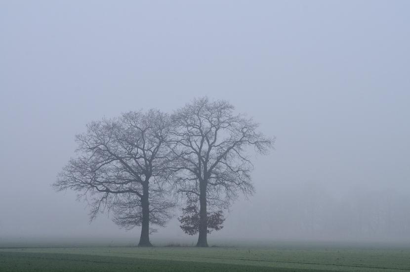 2013_02_16_0222_Februar_Tele