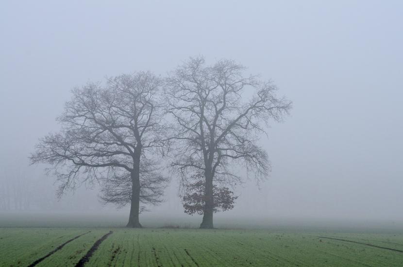 2013_02_16_0228_Februar_Tele