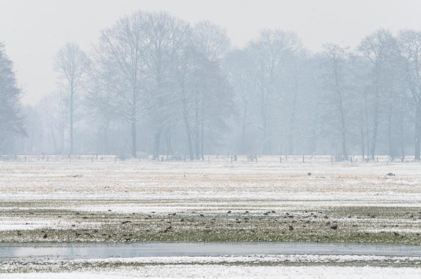 2013_03_29_0236_TELE_LR