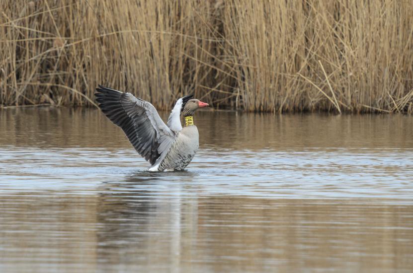 2013_04_06_0404_TELE_LR