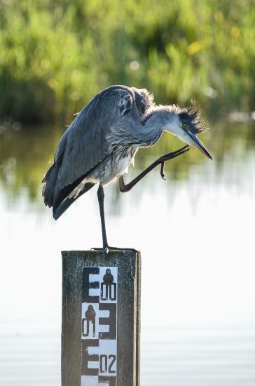 2013_07_24_2975_FehmarnTeleII_LR