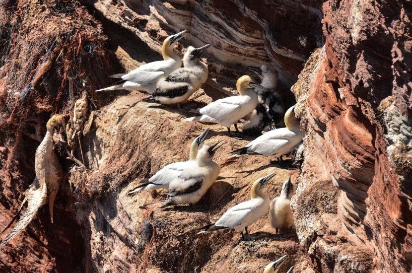 2013_08_02_0298_CuxhavenTELE_LR