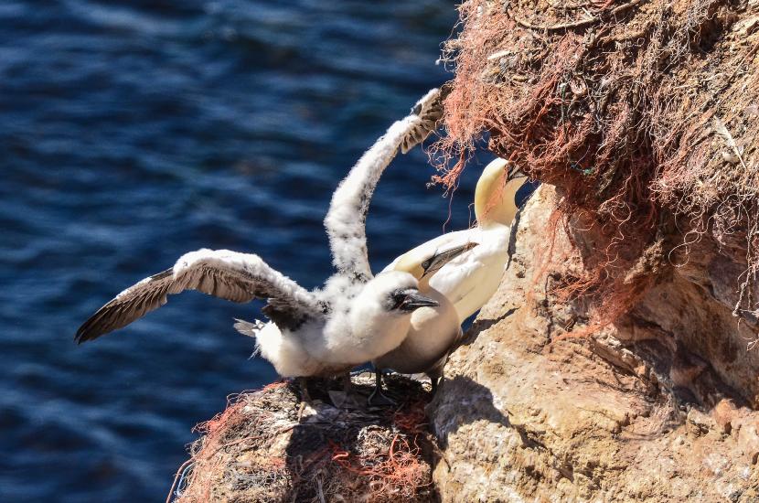 2013_08_02_0436_CuxhavenTELE_LR