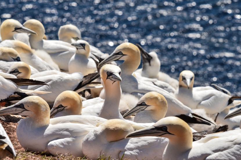 2013_08_02_0503_CuxhavenTELE_LR