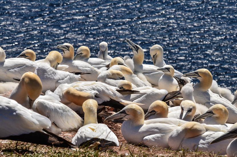 2013_08_02_0517_CuxhavenTELE_LR