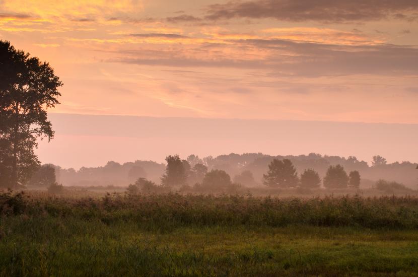 2013_09_07_0162_Tele_LR
