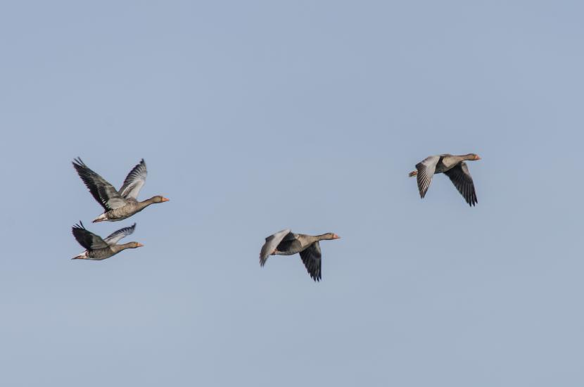 2013_10_03_0021_Tele_LR