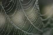 2007_09_23_30_Verschiedene