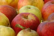 2007_10_20_80_TestTag200-400