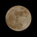 2009_04_09_238_Rieselfelder_ff