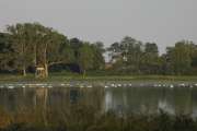 2009_07_14_34_RuegenTele
