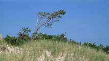 2010_08_15_Zingst (822)