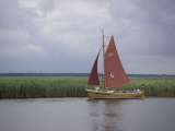 2010_08_15_Zingst (86)