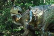 2011_09_02_0679_Dinopark
