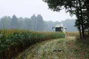 2011_10_09_0034_NaturfotoW