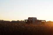 2011_10_15_0099_NaturfotoW