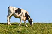 2013_08_04_0840_CuxhavenTELE_LR