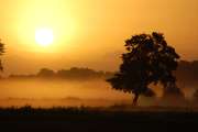 2007_09_15_22_Nature