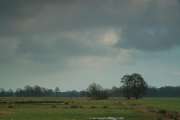 2008_01_06_25_ErsteWoche